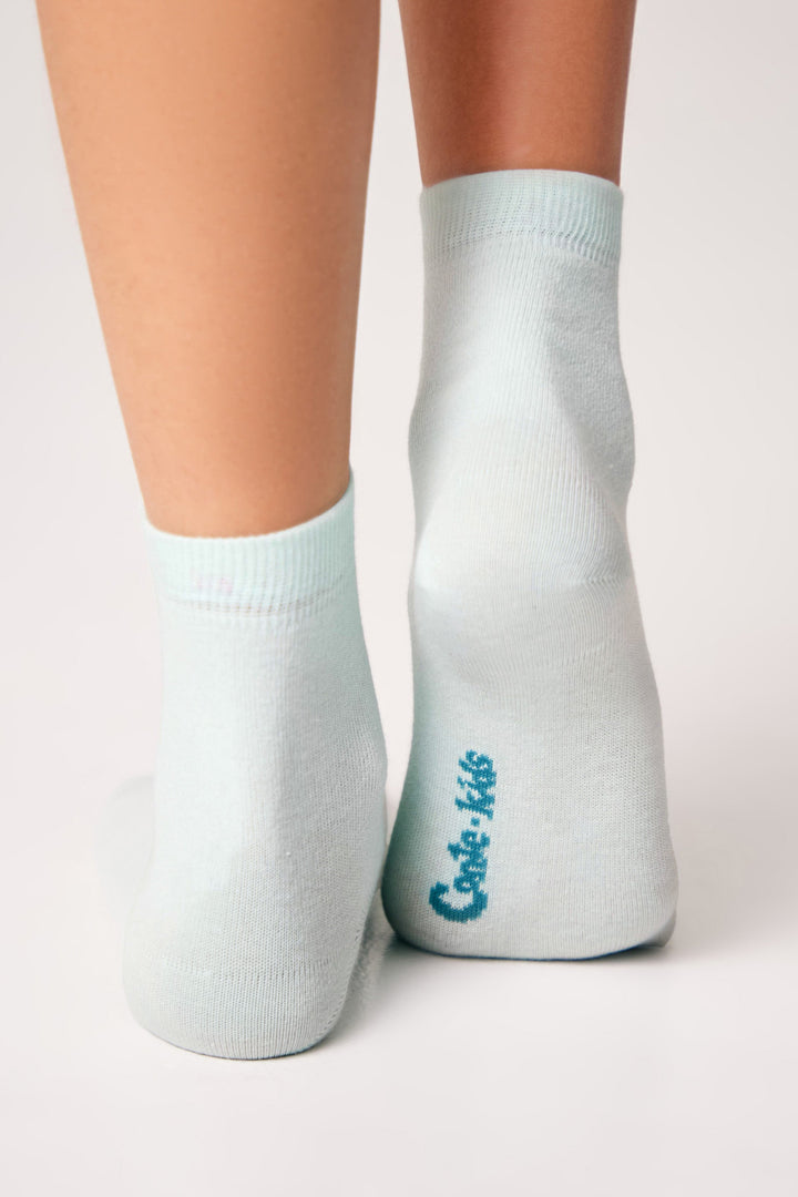 #color_pale-turquoise