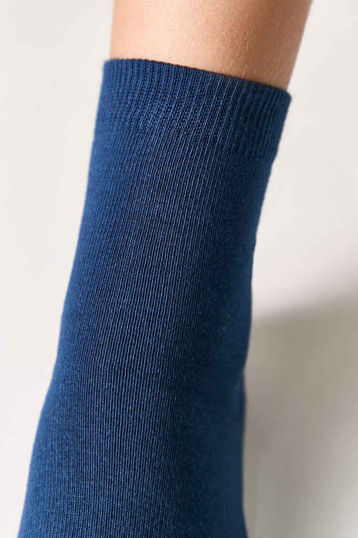 #color_dark-blue