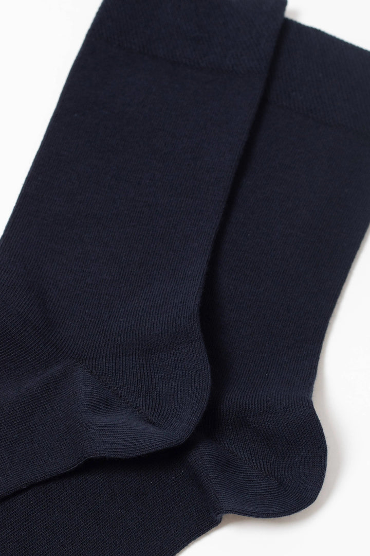 #color_dark-blue