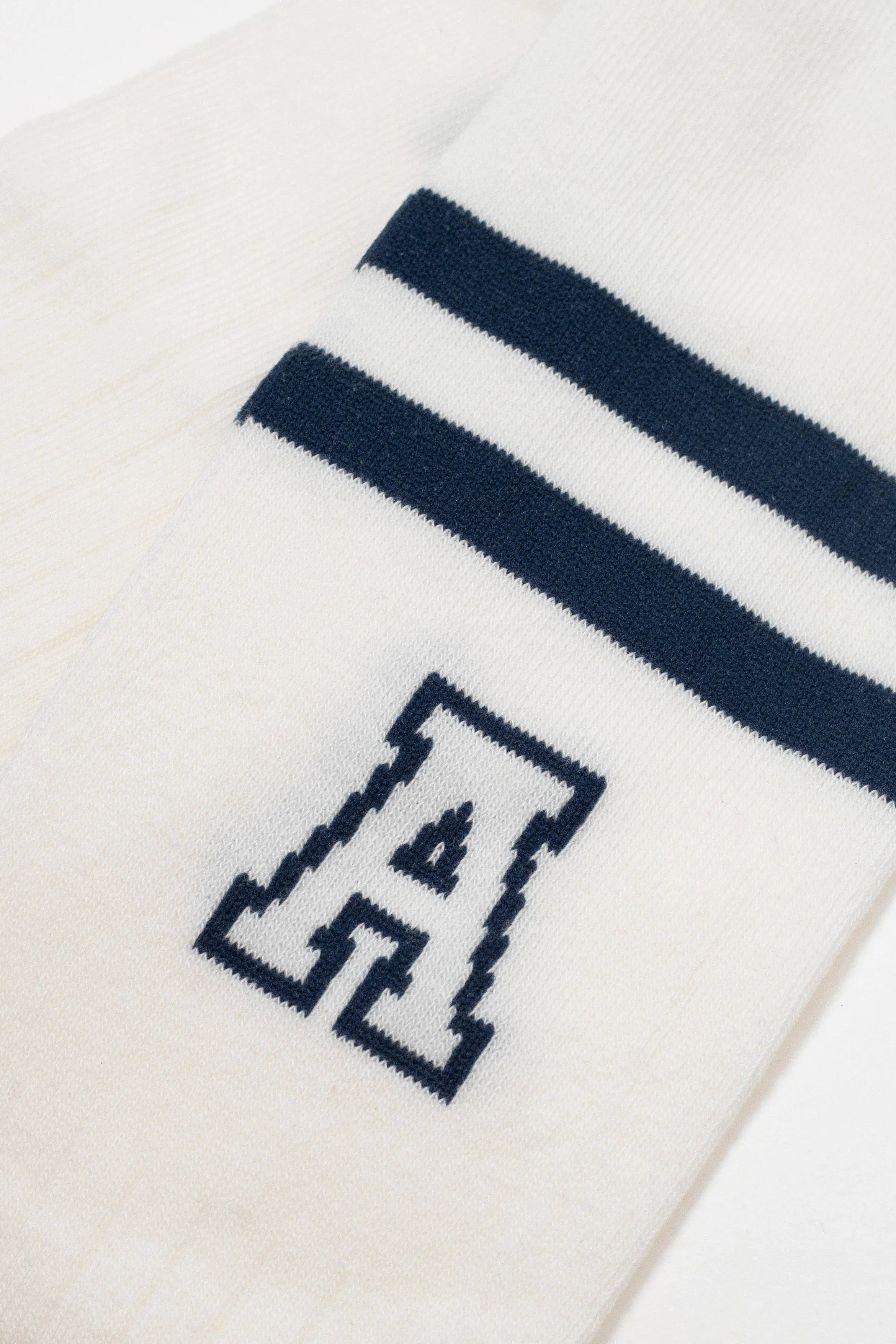 White sock with navy blue stripes and a logo on a white background